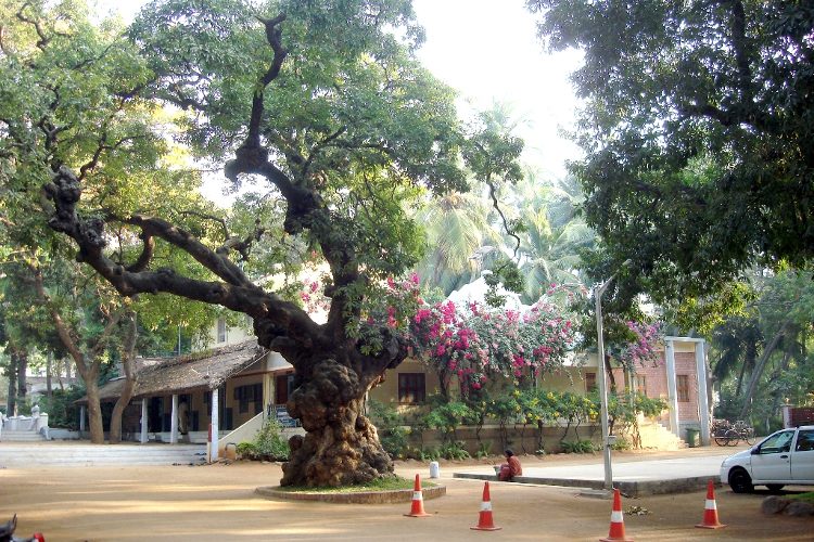 Thiruvannamalai Spiritual Retreat visual 5