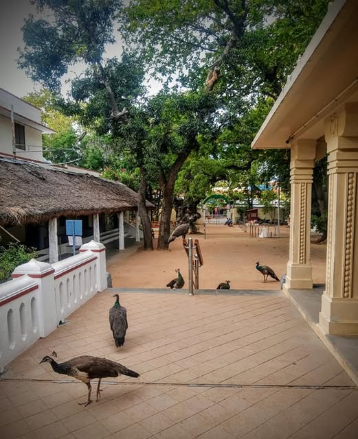 Thiruvannamalai Spiritual Retreat visual 2