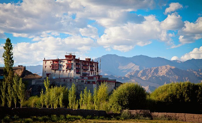 Ladakh Wellness Retreat visual 8